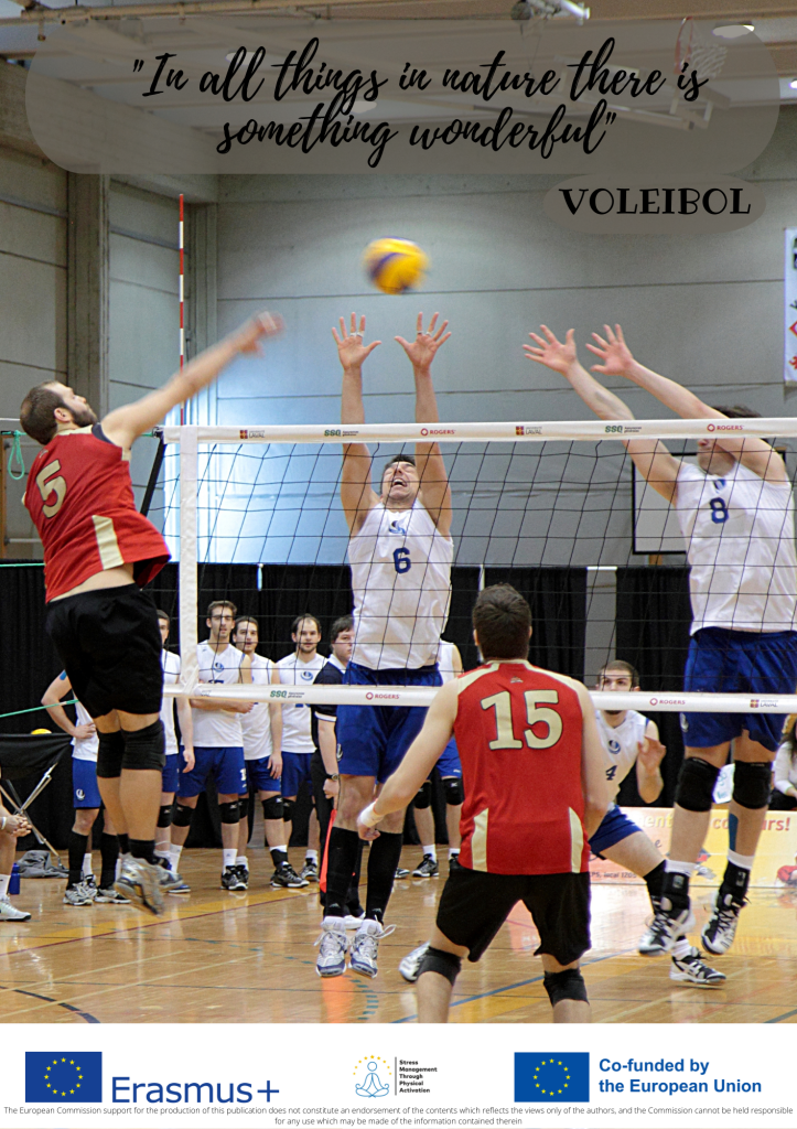 ingles VOLEIBALL